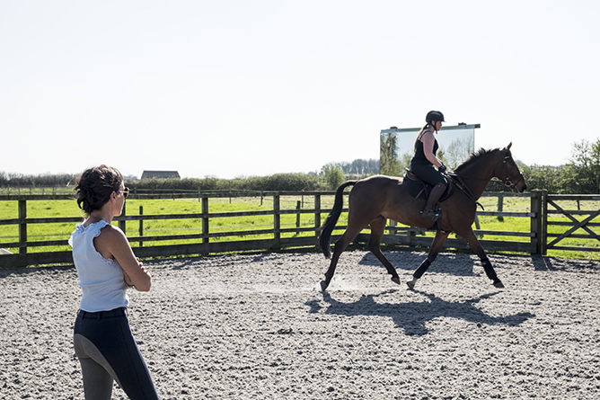 horse trainer teaching student