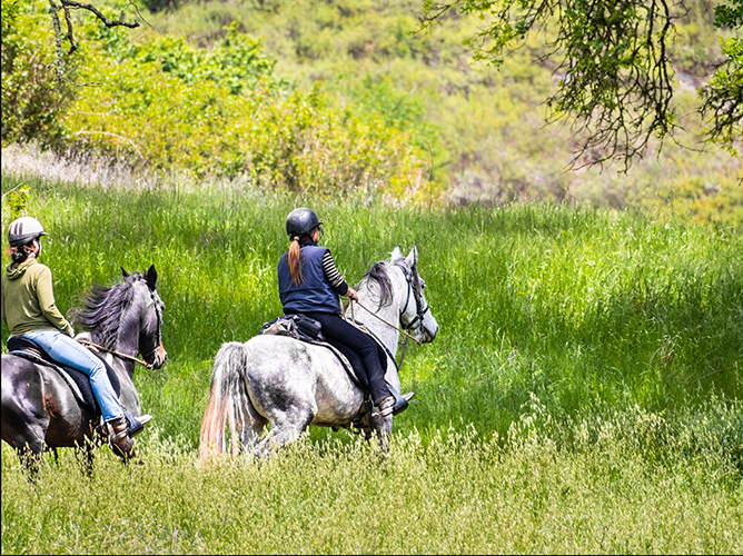 women riding horses