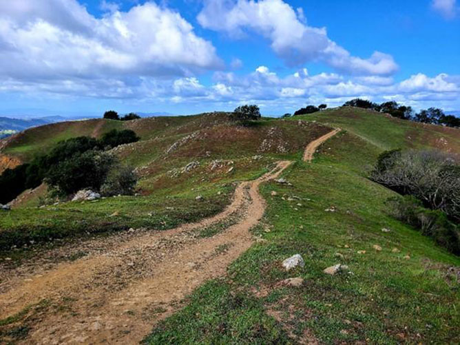 image of Sunol Ridge Trail from Tyler Ranch